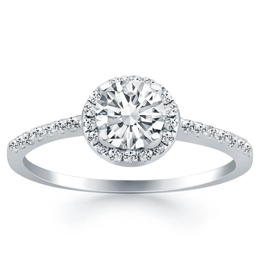14k White Gold Diamond Halo Collar Engagement Ring RCJ Rings  CELESTIA LUXE JEWELLERS