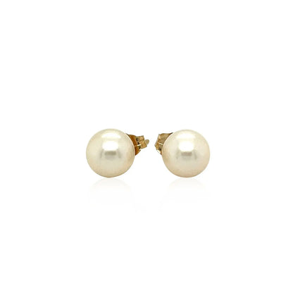 14k Yellow Gold Freshwater Cultured White Pearl Stud Earrings (7mm) RCJ Earrings  CELESTIA LUXE JEWELLERS