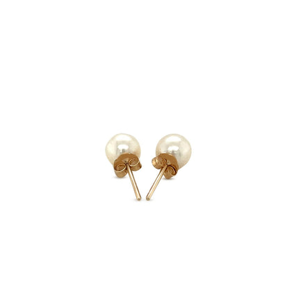 14k Yellow Gold Freshwater Cultured White Pearl Stud Earrings (6mm) RCJ Earrings  CELESTIA LUXE JEWELLERS