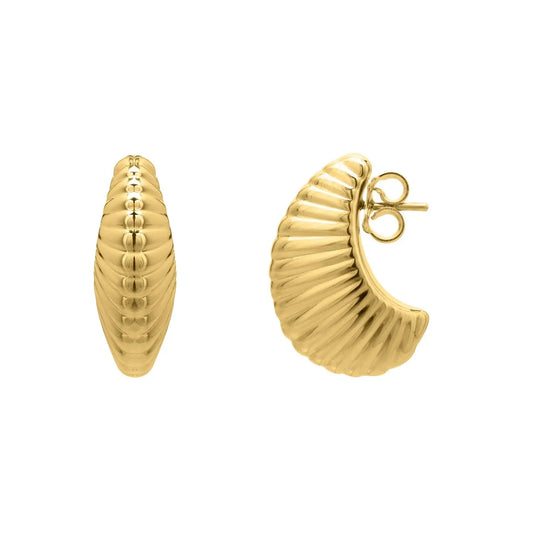 Puffy Graduated Ribbed Shell Hoop Earrings in 14K Yellow Gold RCJ Earrings  CELESTIA LUXE JEWELLERS