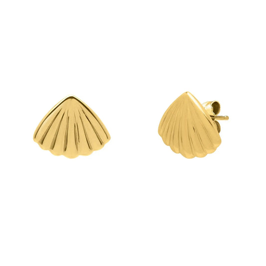 Sea Shell Stud Earrings in 10K Yellow Gold RCJ Earrings  CELESTIA LUXE JEWELLERS